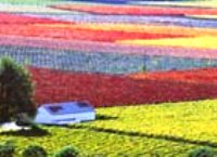 Cape Town Tours and Day Trips Cape Town Tours and Day Trips