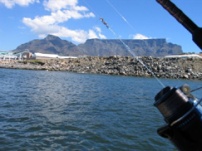 Cape Boat Fishing Charters South Africa