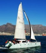 Cape Town Boat Charter Sailing Catamaran Waterfront