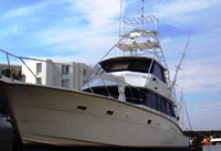 Cape Town Boat Charter Waterfront