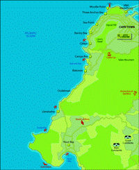 Cape Boat Fishing Charters South Africa