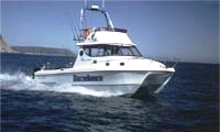 Cape Boat Fishing Charters South Africa