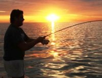Cape Boat Fishing Charters South Africa