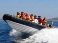 Cape Town Tours and Day Trips Cape Town Tours and Day Trips