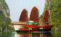 Red Dragon Junk Cruises