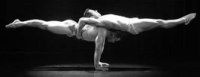 Exotic Dancers Strippers Cape Town